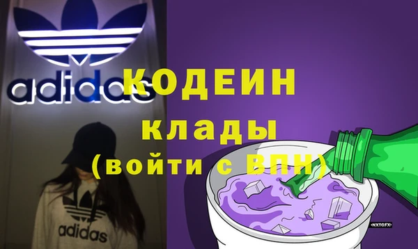 ГАЛЛЮЦИНОГЕННЫЕ ГРИБЫ Балахна