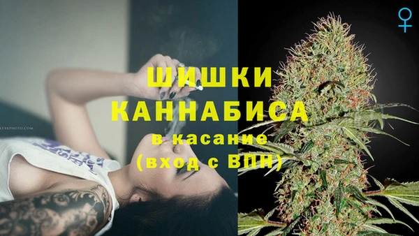 ГАЛЛЮЦИНОГЕННЫЕ ГРИБЫ Балахна